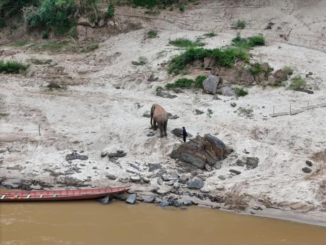 Mekong Backpackers Pakbeng Daire Dış mekan fotoğraf
