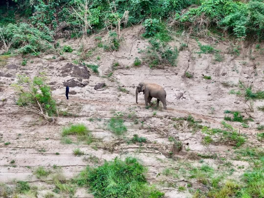 Mekong Backpackers Pakbeng Daire Dış mekan fotoğraf